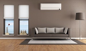 Living room-with-air-conditioner-thumb